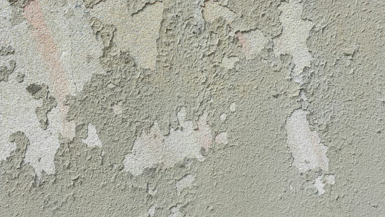 Blistering and peeling paint on a rendered wall